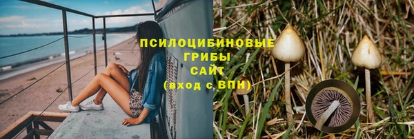 МДПВ Лиски